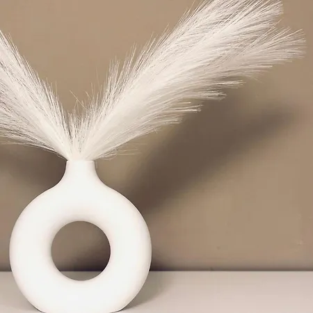 Borgoluce -free Parking- Near Center & Airport