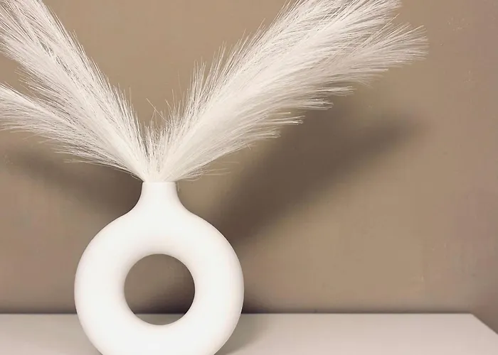 Borgoluce -free Parking- Near Center & Airport